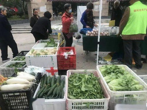 便捷與實惠并行 高品質農產品進社區，守護市民餐桌健康