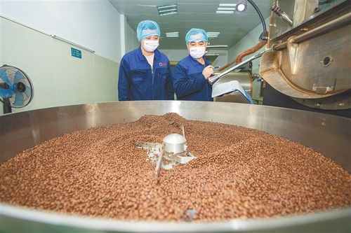 從田間到舌尖 海南農墾發力精深加工，讓土特產鏈上“新食尚”